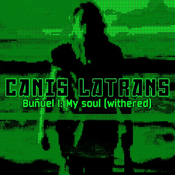 Canis Latrans - Despertar