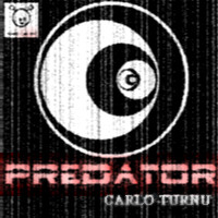 Carlo Turnu - It's Fate
