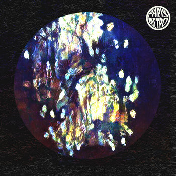 Carlos Nilmmns, Ian Elgey - Its Because