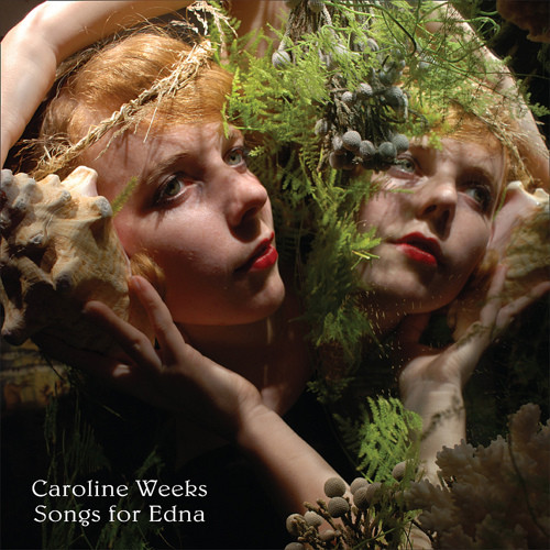 Caroline Weeks - Wild Swans