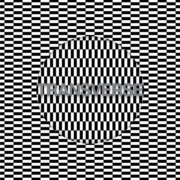 Carter Tutti Void - V2