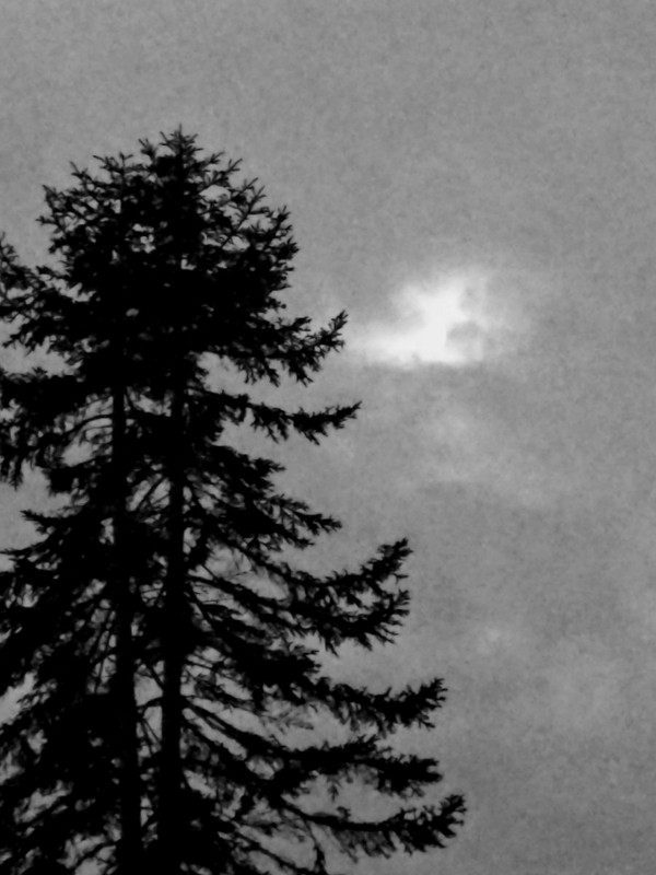 Cascades of Darkness - Threnody for the Darkness in Humankind - HNM Remix