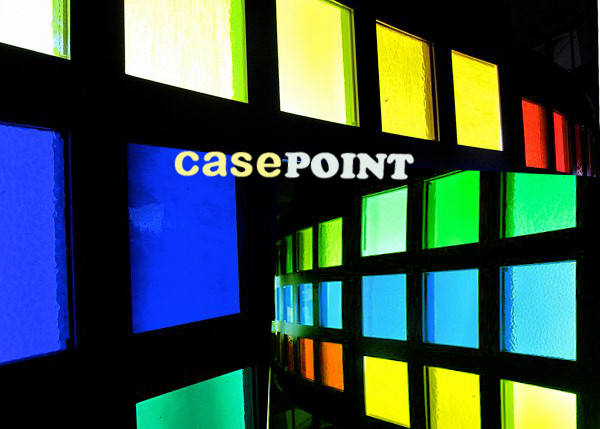 Case & Point - Savage