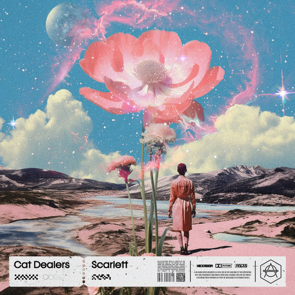 Cat Dealers - Sunshine