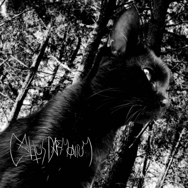 Cattus Daemonium - Deseos De Muerte