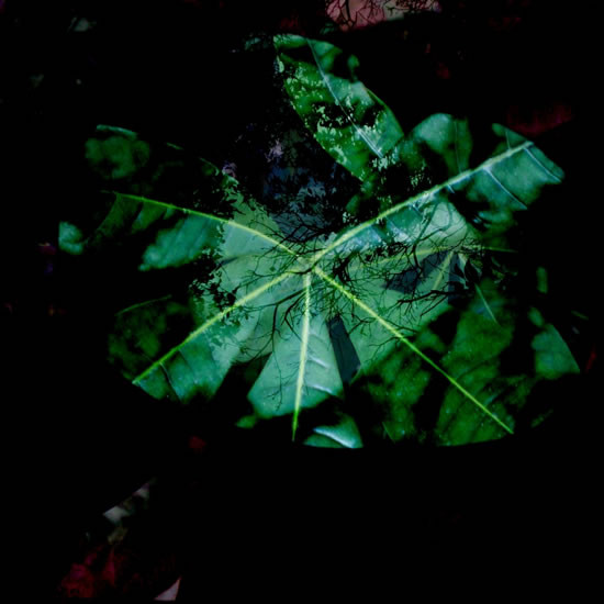Caustic Reverie - In Vacuo