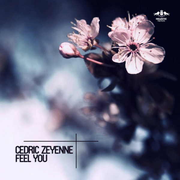 Cedric Zeyenne - Feel You - Radio Edit