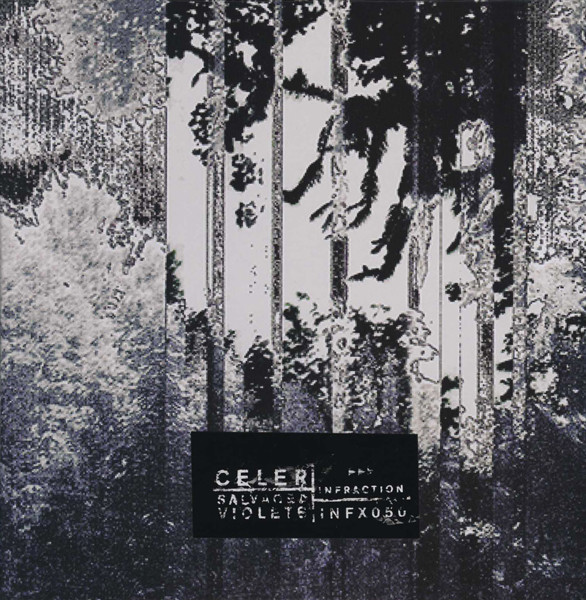 Celer - (06.23.17) From the doorway of the beef noodle shop, shoes on the street in the rain, outside the karate school