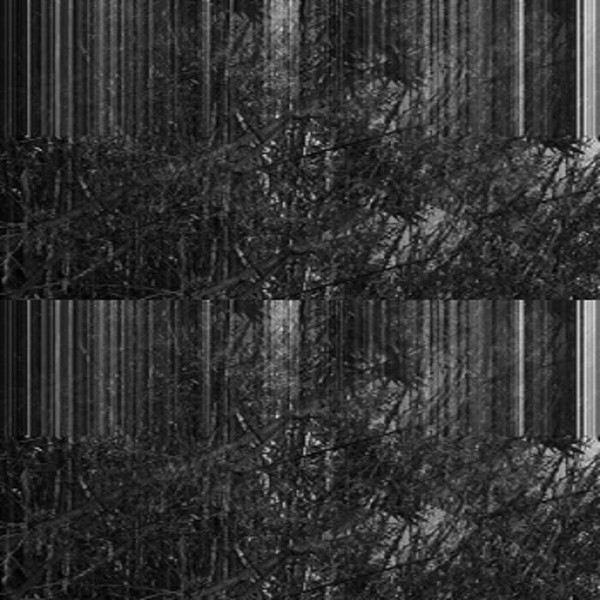 Chlorine Gargle - Unbecoming Dependence