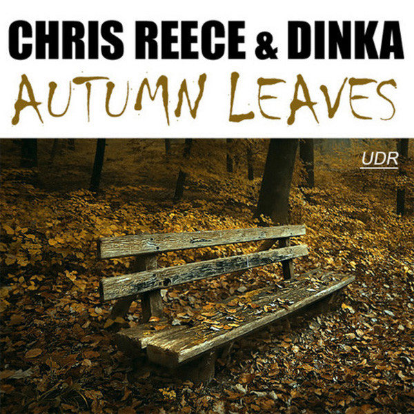 Chris Reece & Dinka - Autumn Leaves (Stanley Ross Mental Techno Remix)