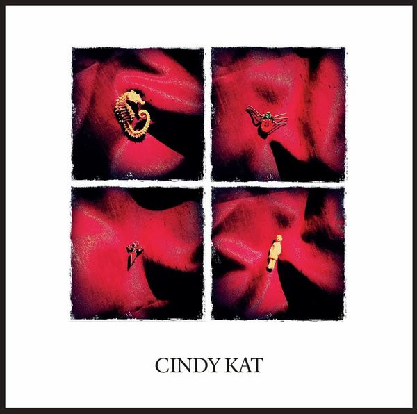 Cindy Kat - Polaroide