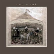 Circle of Birds - Old Ironside