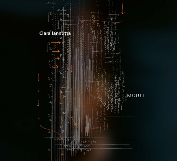 Clara Iannotta - MOULT (2018-19) for chamber orchestra