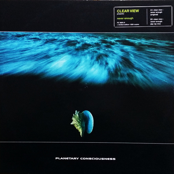Clear View - Never Enough