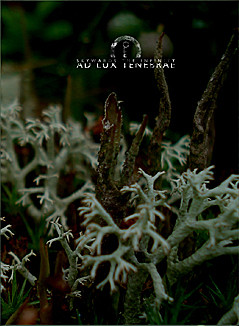 Closing the Eternity & Ad Lux Tenebrae - Bei Ngnea Rby