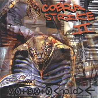 Cobra Strike - The 13th Scroll