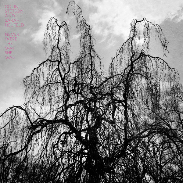 Colin Stetson & Sarah Neufeld - Won't Be A Thing To Become