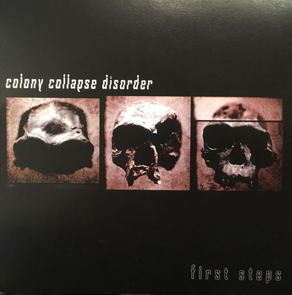 Colony Collapse Disorder - Silent Invasion