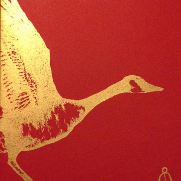 Common Eider, King Eider - When We Sewed Skins