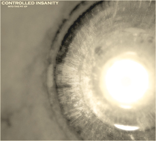 Controlled Insanity - Fragments