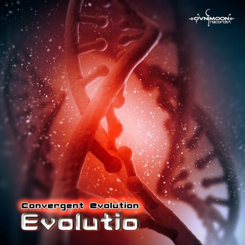 Convergent Evolution - Homo Caelestis