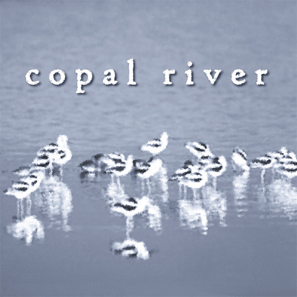 Copal River - Thanks Fred