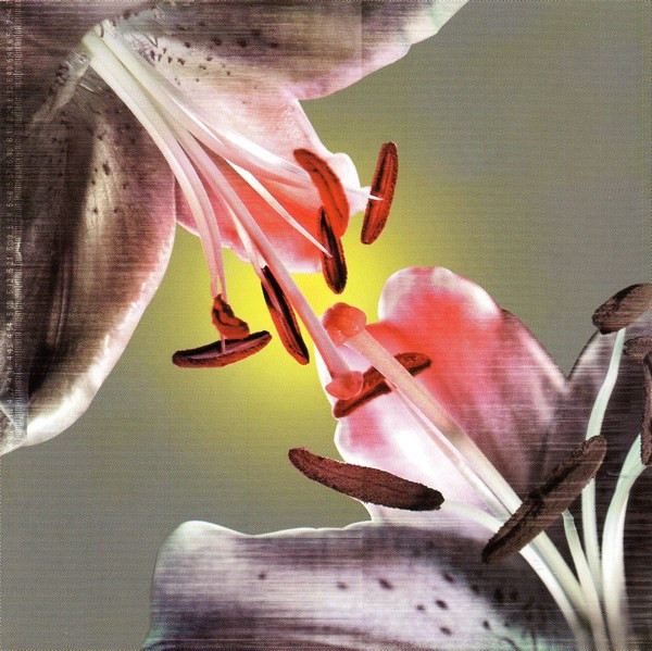 Cor Fuhler & Gert-Jan Prins - J-Fetrose