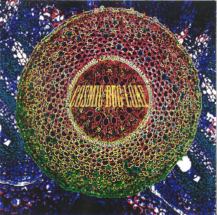 Cosmic Bug Loaf - Piss Pool
