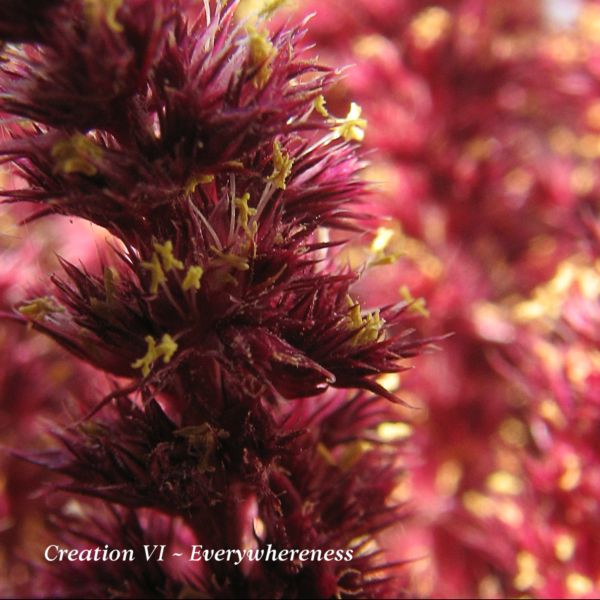 Creation VI - Migration to North