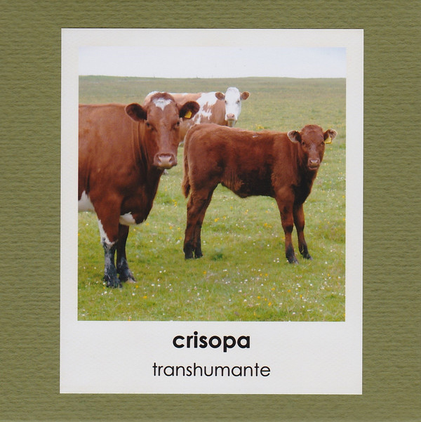 Crisopa - Tetris triste