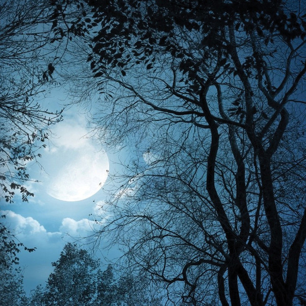 Crystal Moon - Meditation for Peace and Harmony