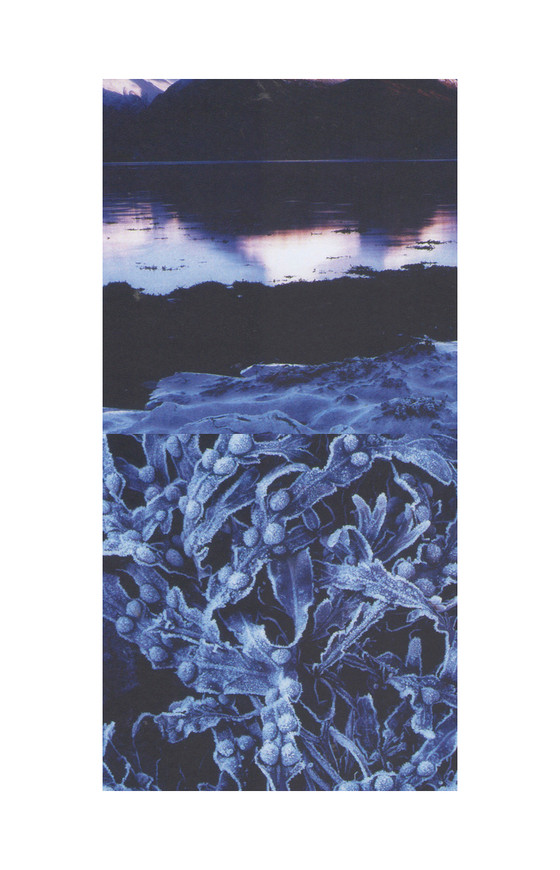 Crystalline Fervour - Duration, In Return