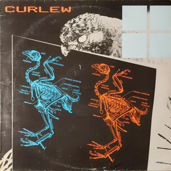 Curlew - Light Sentence