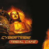 Cybertribe - Reaching Motherland (Pink Noise Mix)