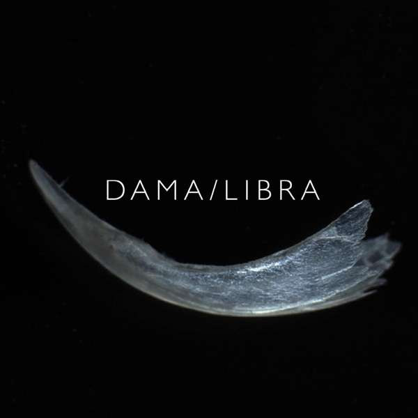 DAMA/LIBRA - Boy, Dock