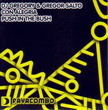 DJ Gregory & Gregor Salto - Push In The Bush (Main Mix)