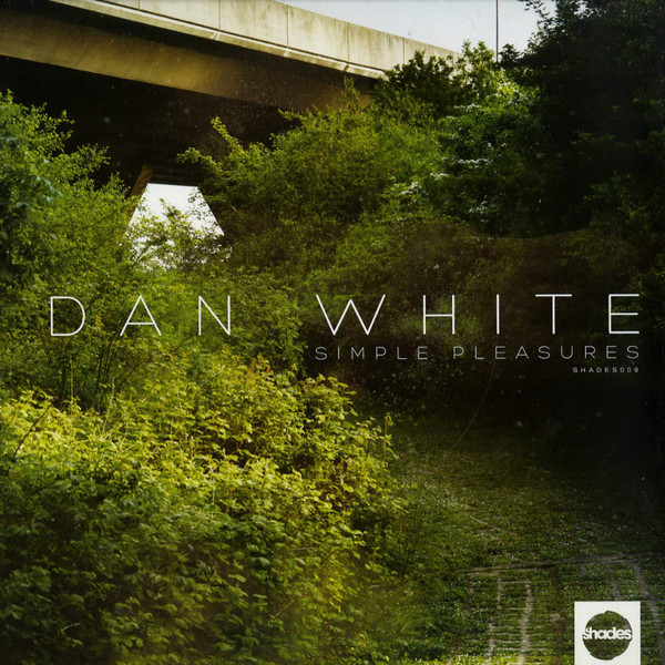 Dan White - Grey Bishop