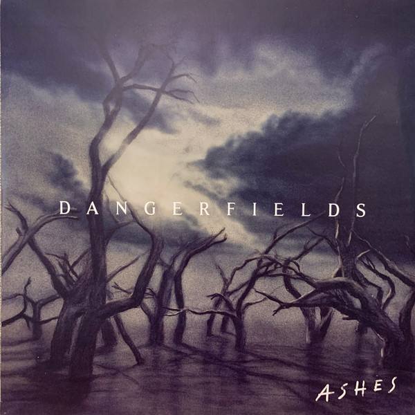Dangerfields - Awake