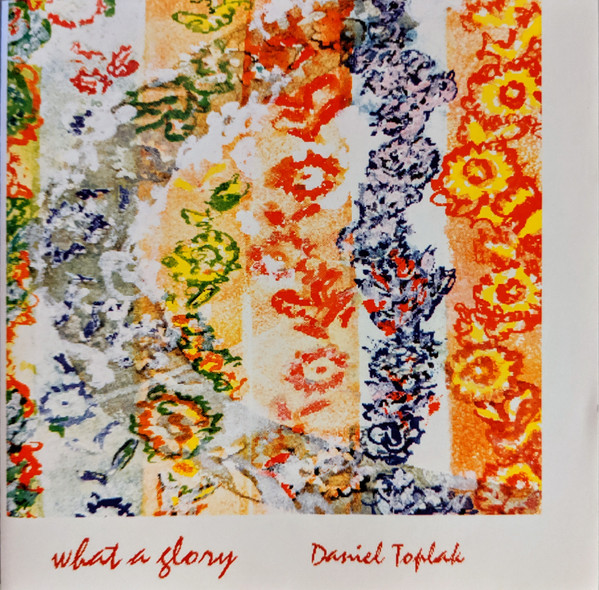 Daniel Toplak - 2001 comes down