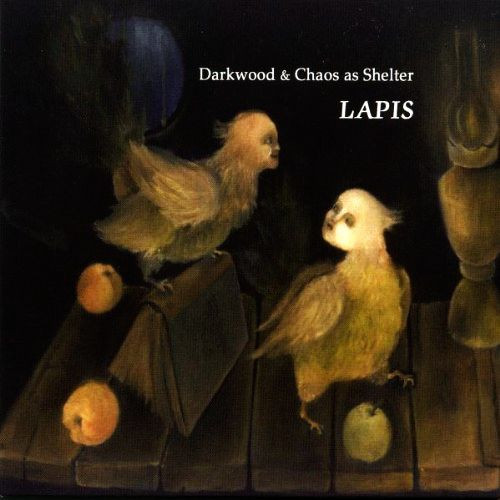 Darkwood & Chaos As Shelter - Melanosis