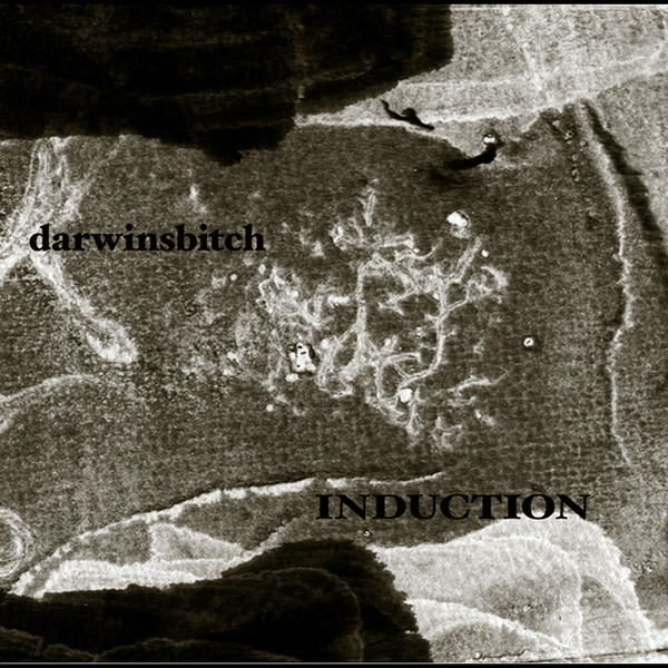 Darwinsbitch - Flames in Blackened Sky