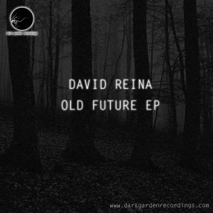 David Reina - Life Cycles