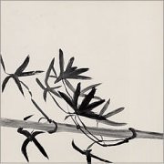 David Sylvian & Ryuichi Sakamoto - Forbidden Colors