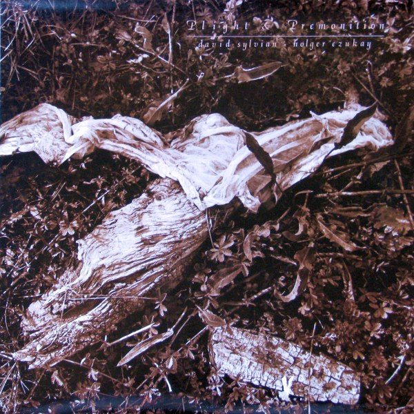 David Sylvian - Holger Czukay - Mutability