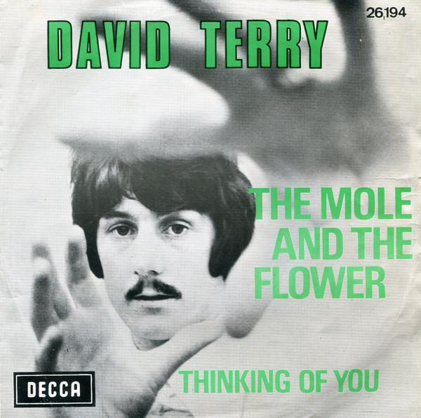 David Terry - Slowly, Slowly, Up Into the Rain We Fell