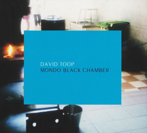 David Toop - Sea Slug