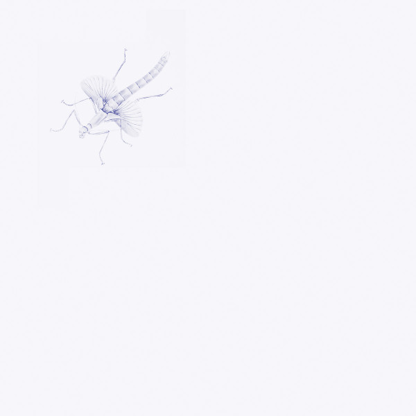 David Toop, Scanner, Lawrence English - Entomologists (excerpt)