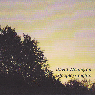 David Wenngren - Fragment II