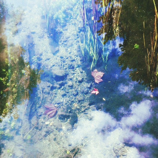 Dear Laika - Lilac Moon, Reflected Sun