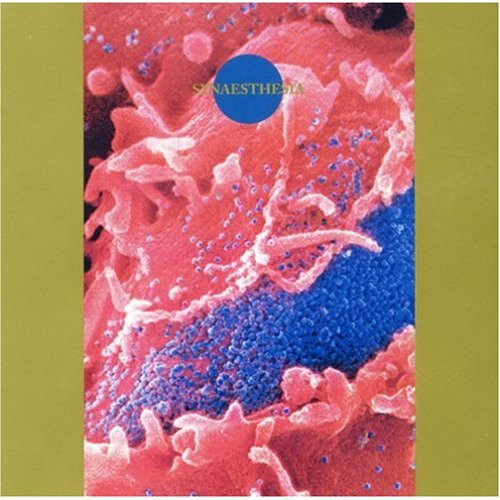 Death Ambient - Greenhouse